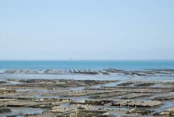 Cancale - Parcs à Huître